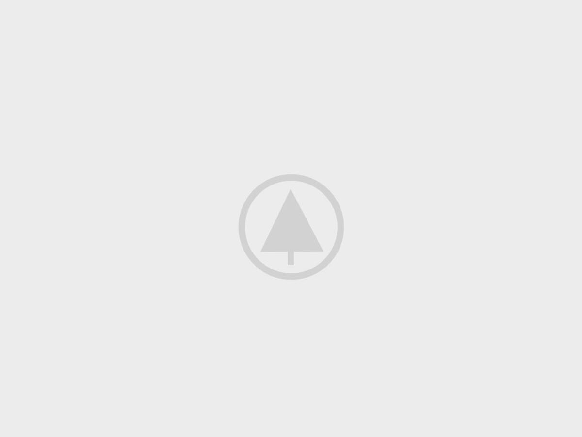 Gray placeholder image with a tree icon.